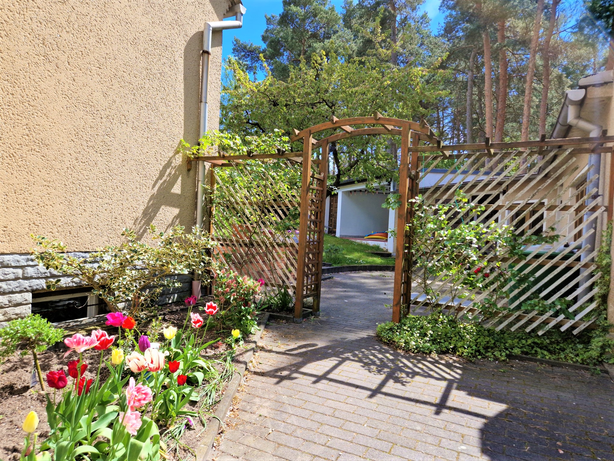 20230508_141045_compress34