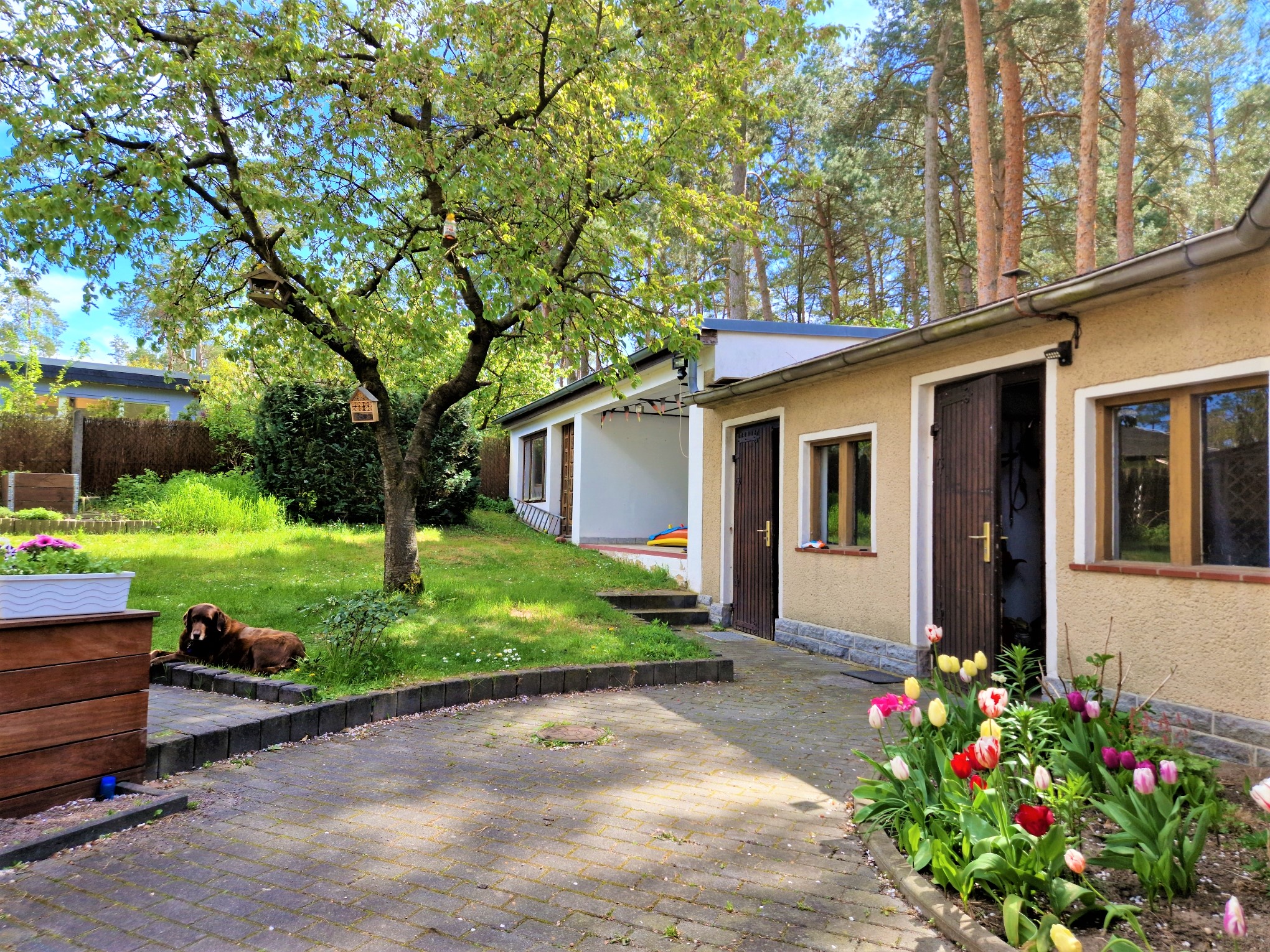 20230508_141200_compress70