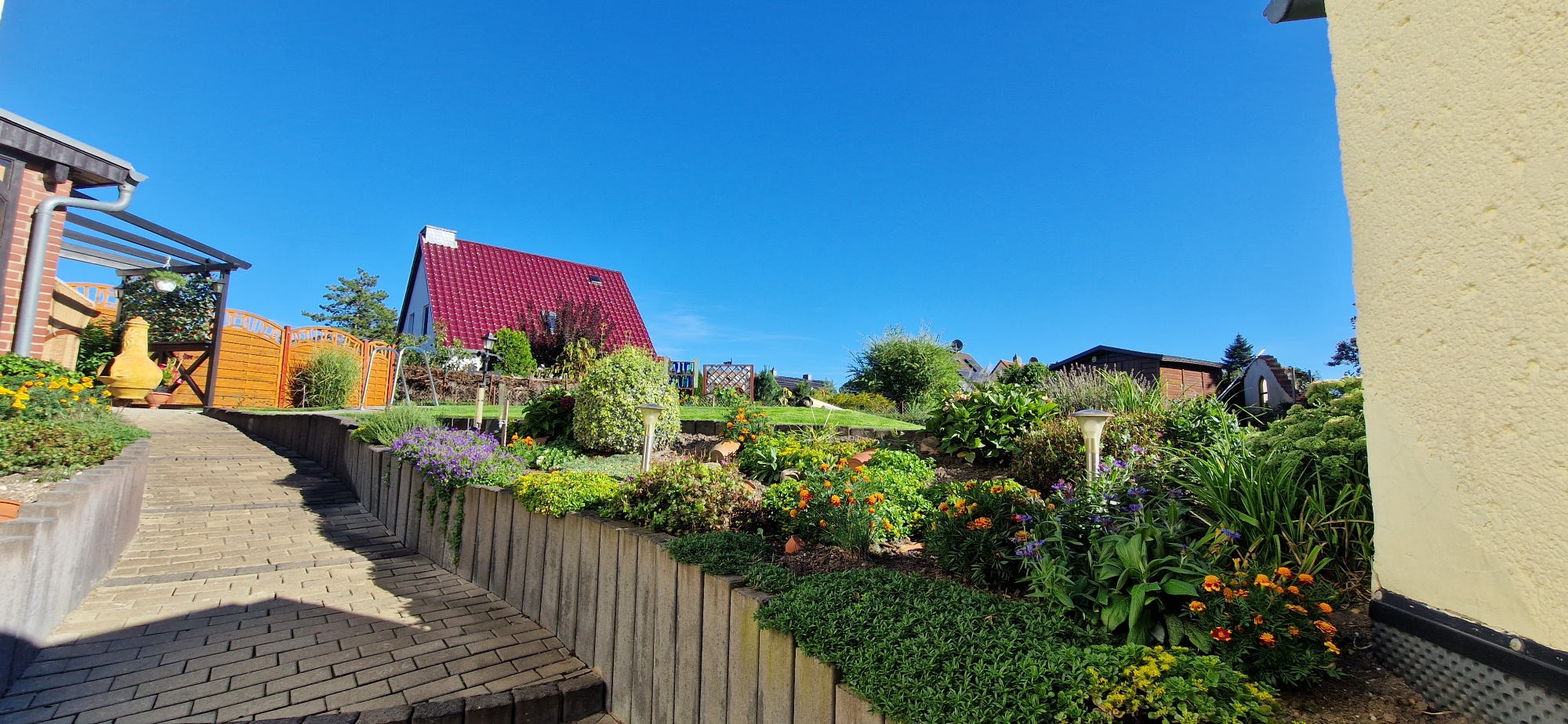 20230905_164316_compress85