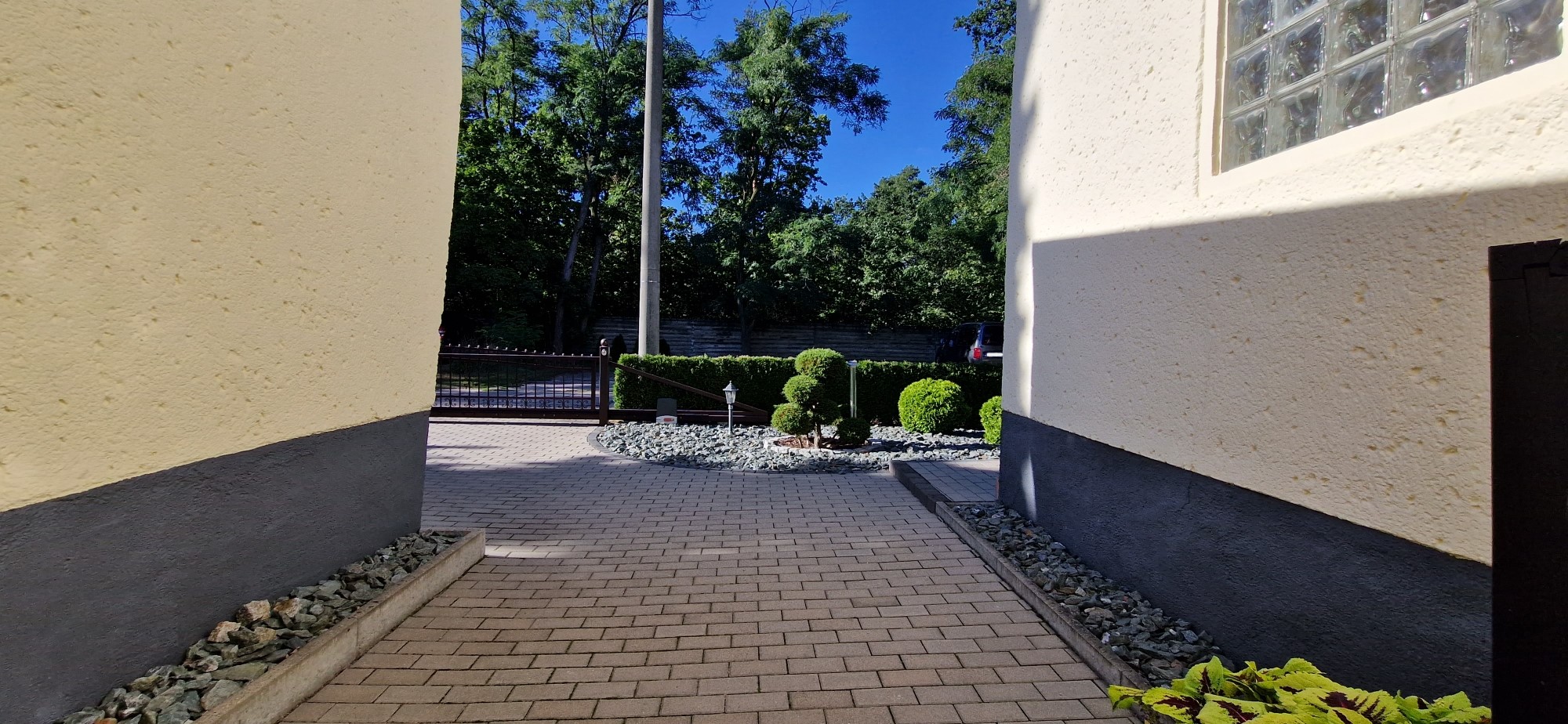 20230905_164444_compress76