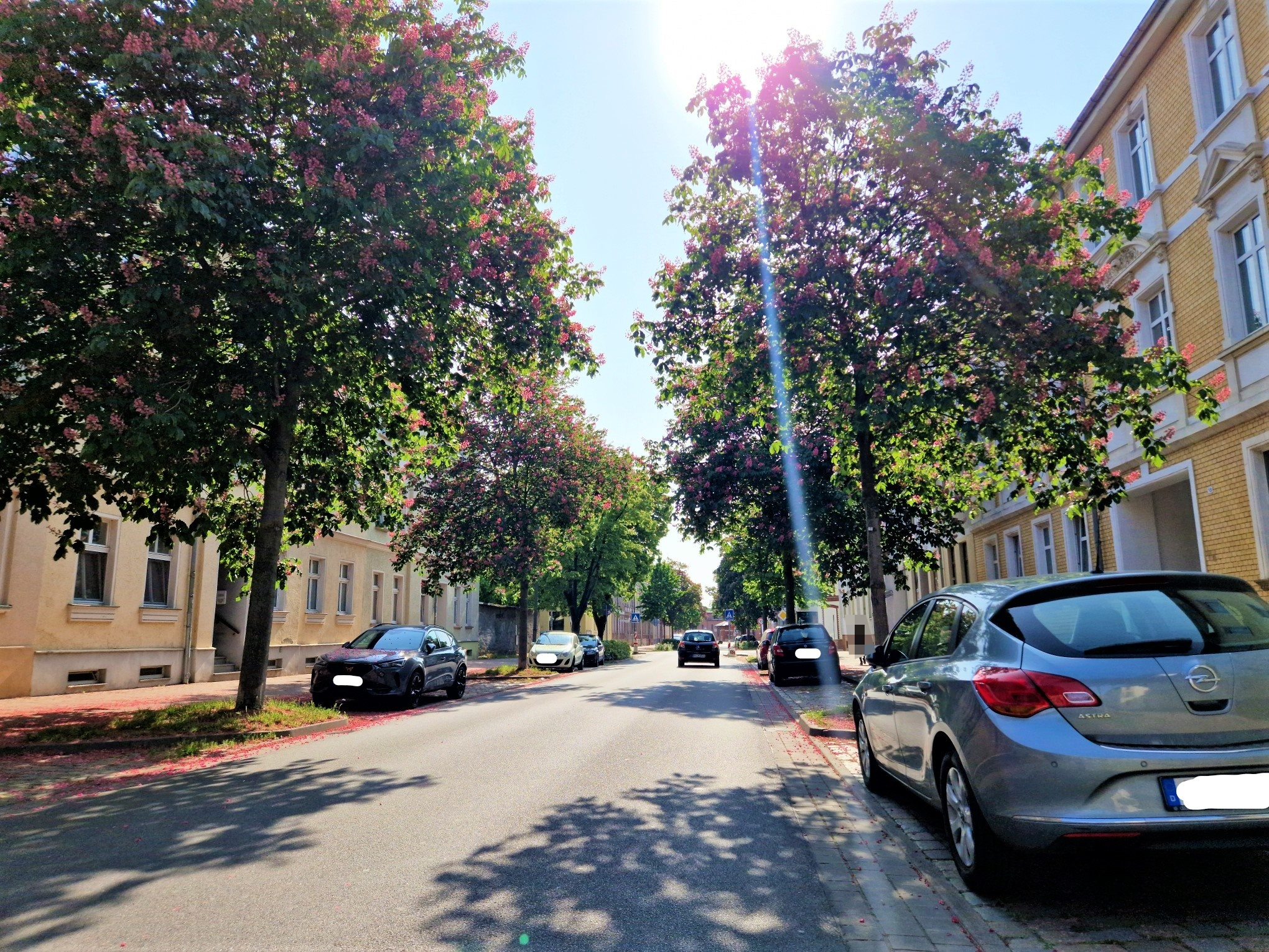 Inked20230527_093306_compress37