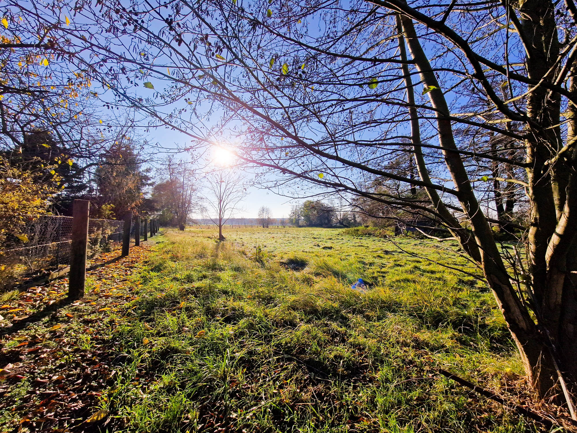 20231122_103412_compress63