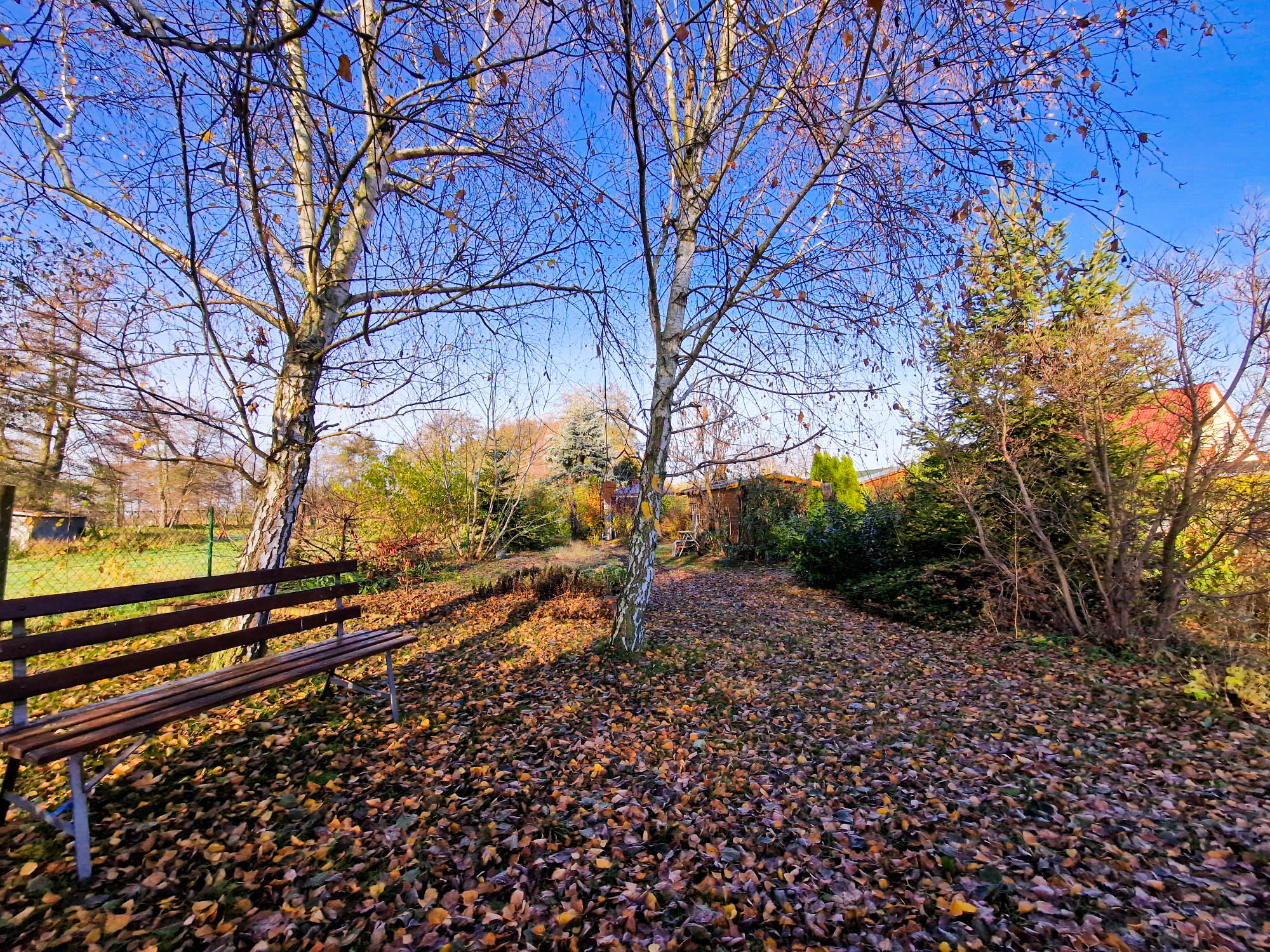 20231122_104112(0)_compress91