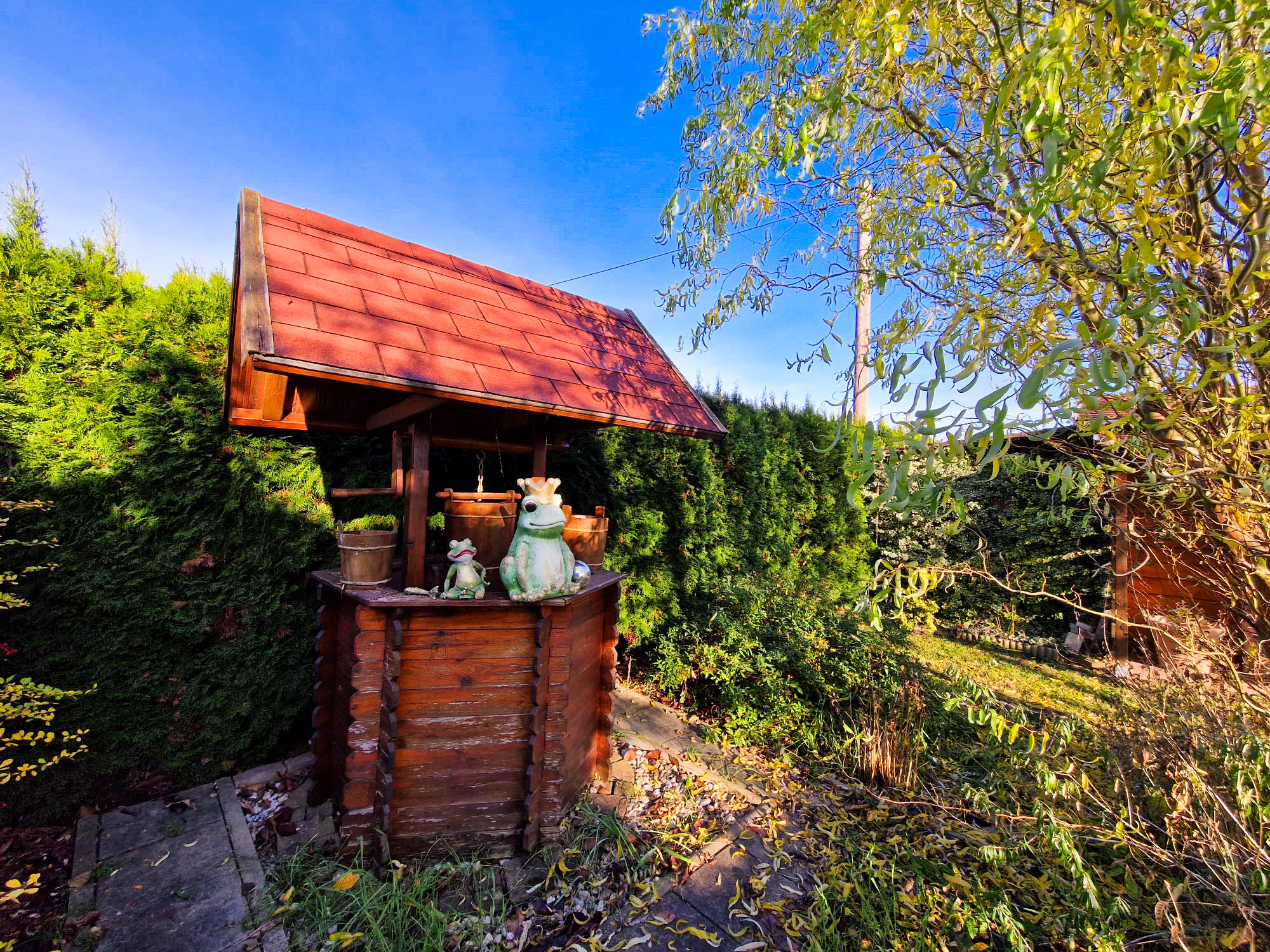 20231122_104331_compress81