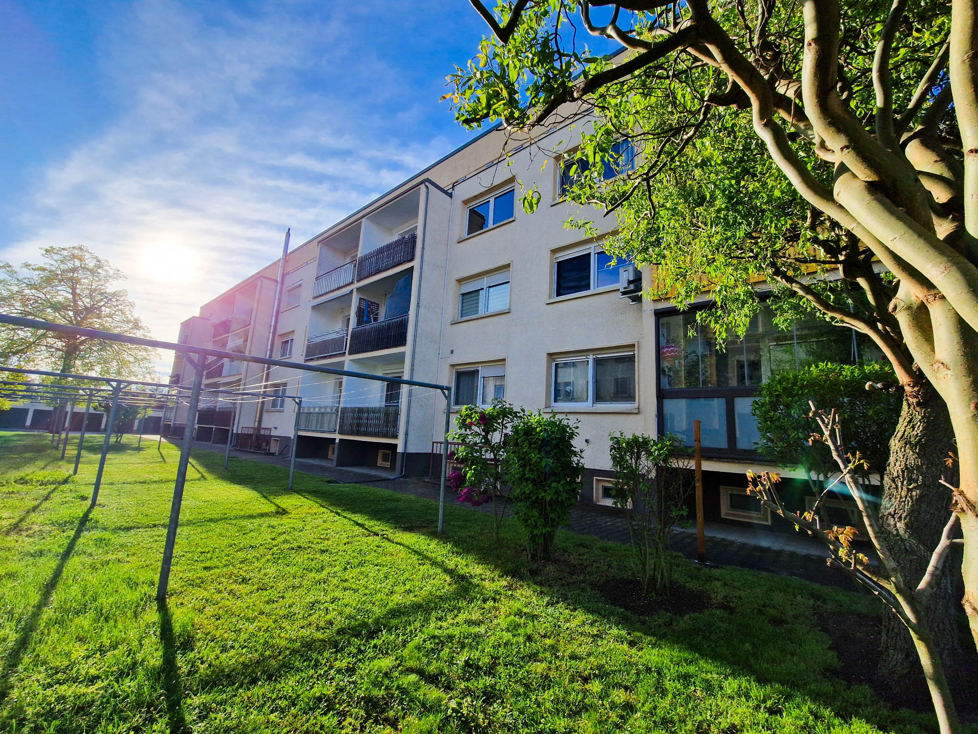 20240416_180936_compress76