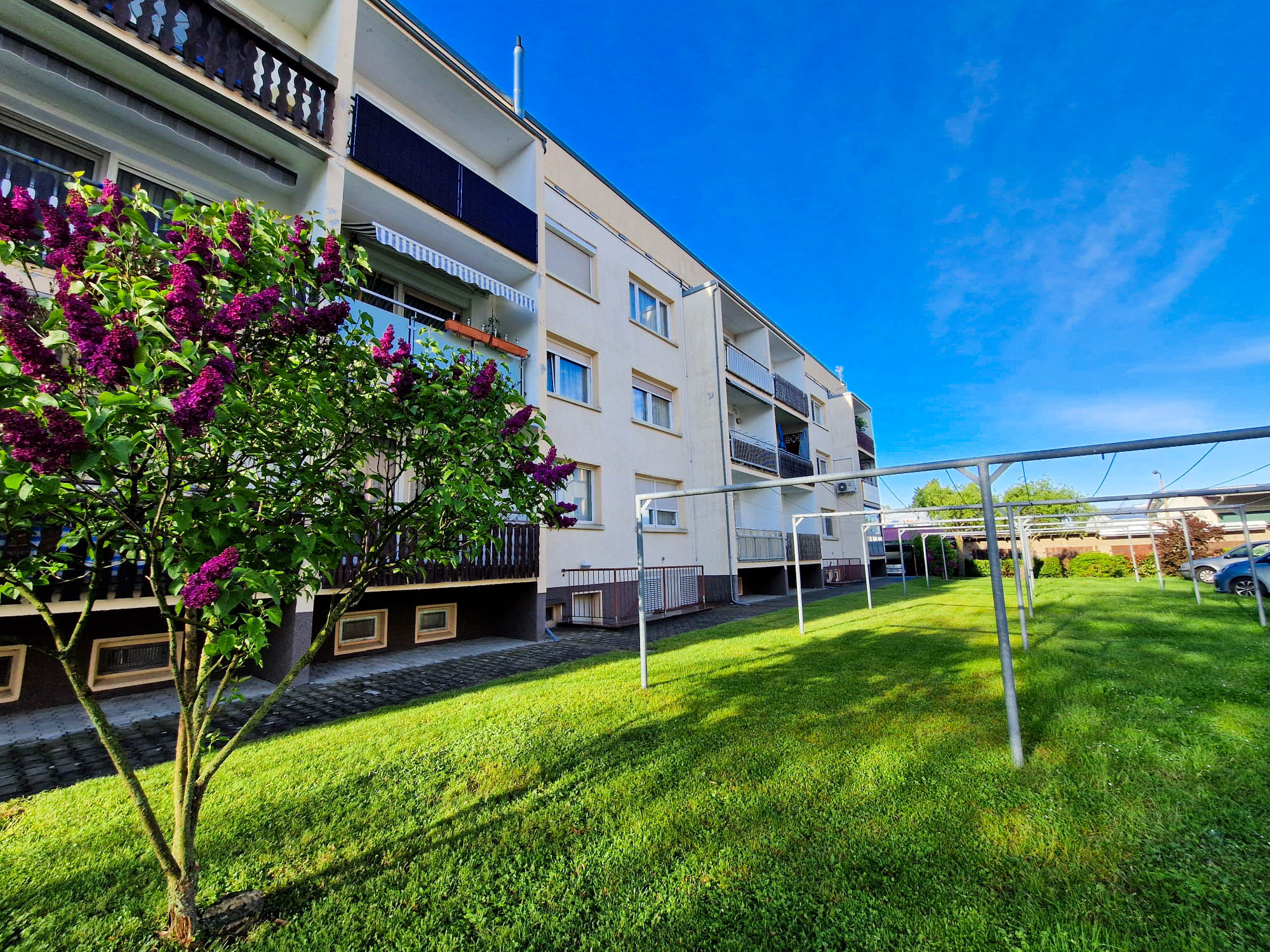 20240416_181050_compress63