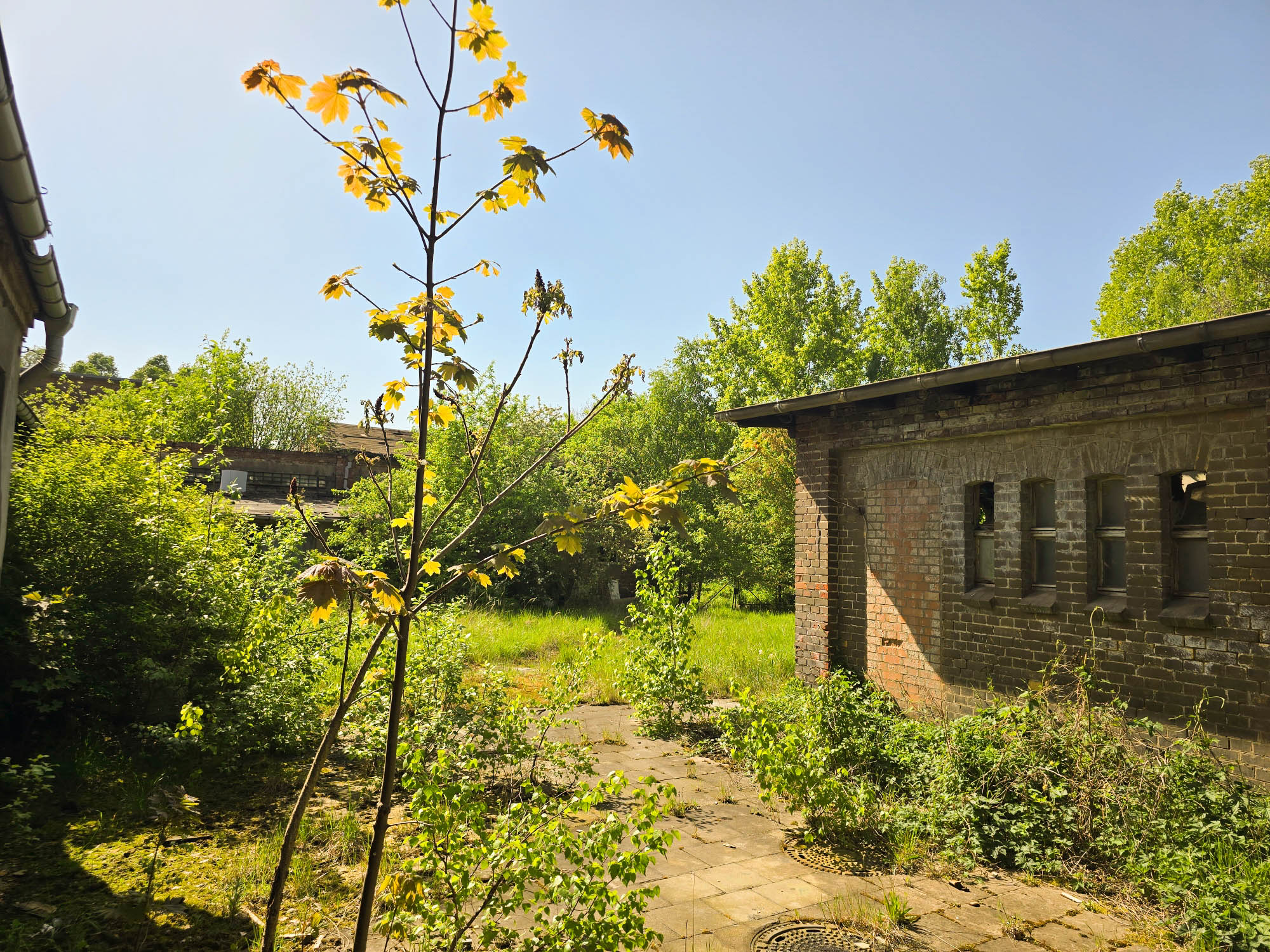 20240430_151436_compress58