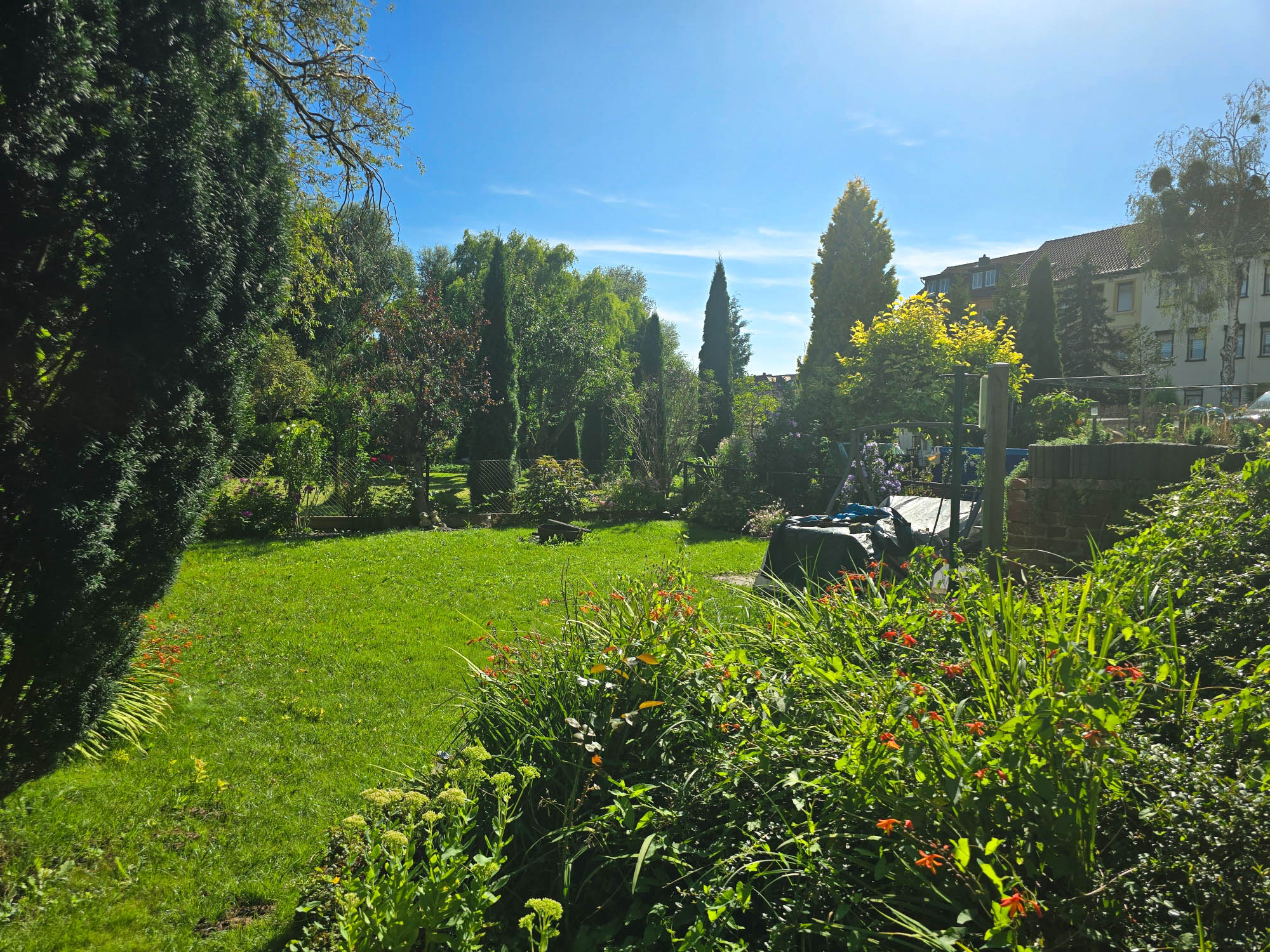 20240806_161752_compress38