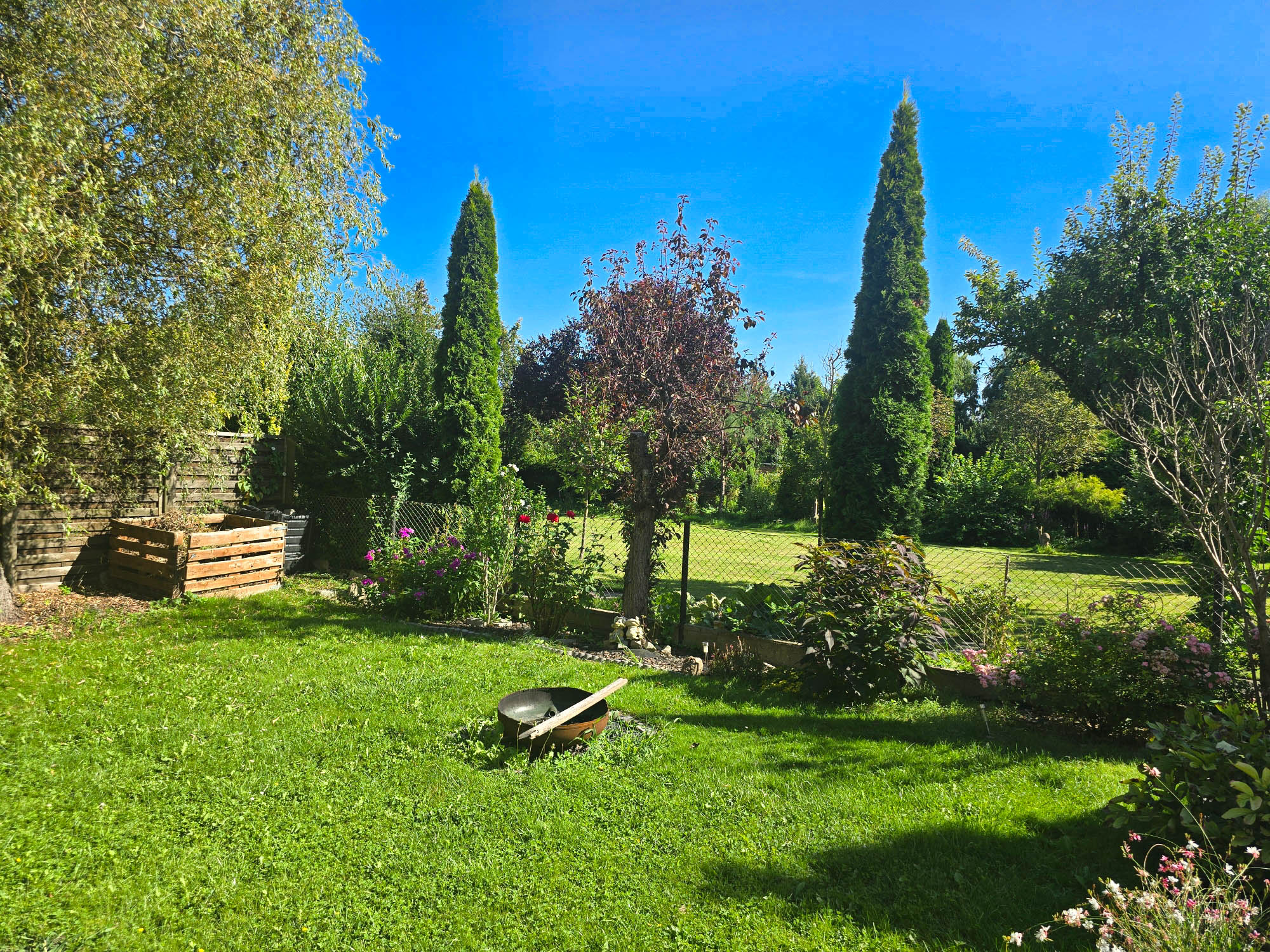 20240806_161818_compress64