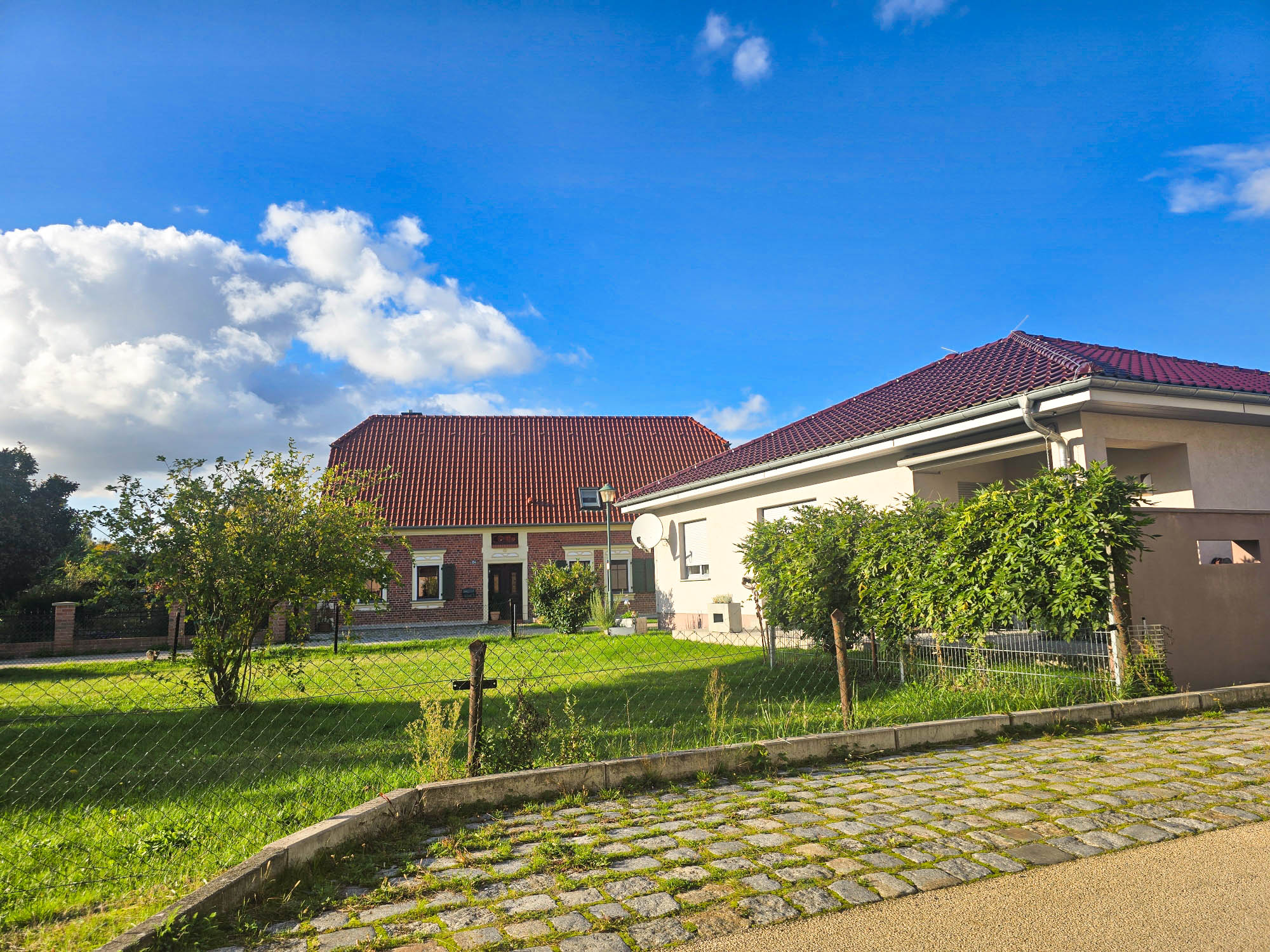 20241011_161902(0)_compress75