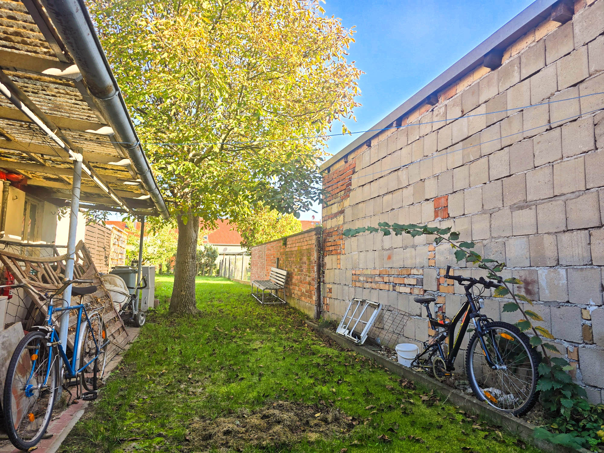 20241011_162247_compress53