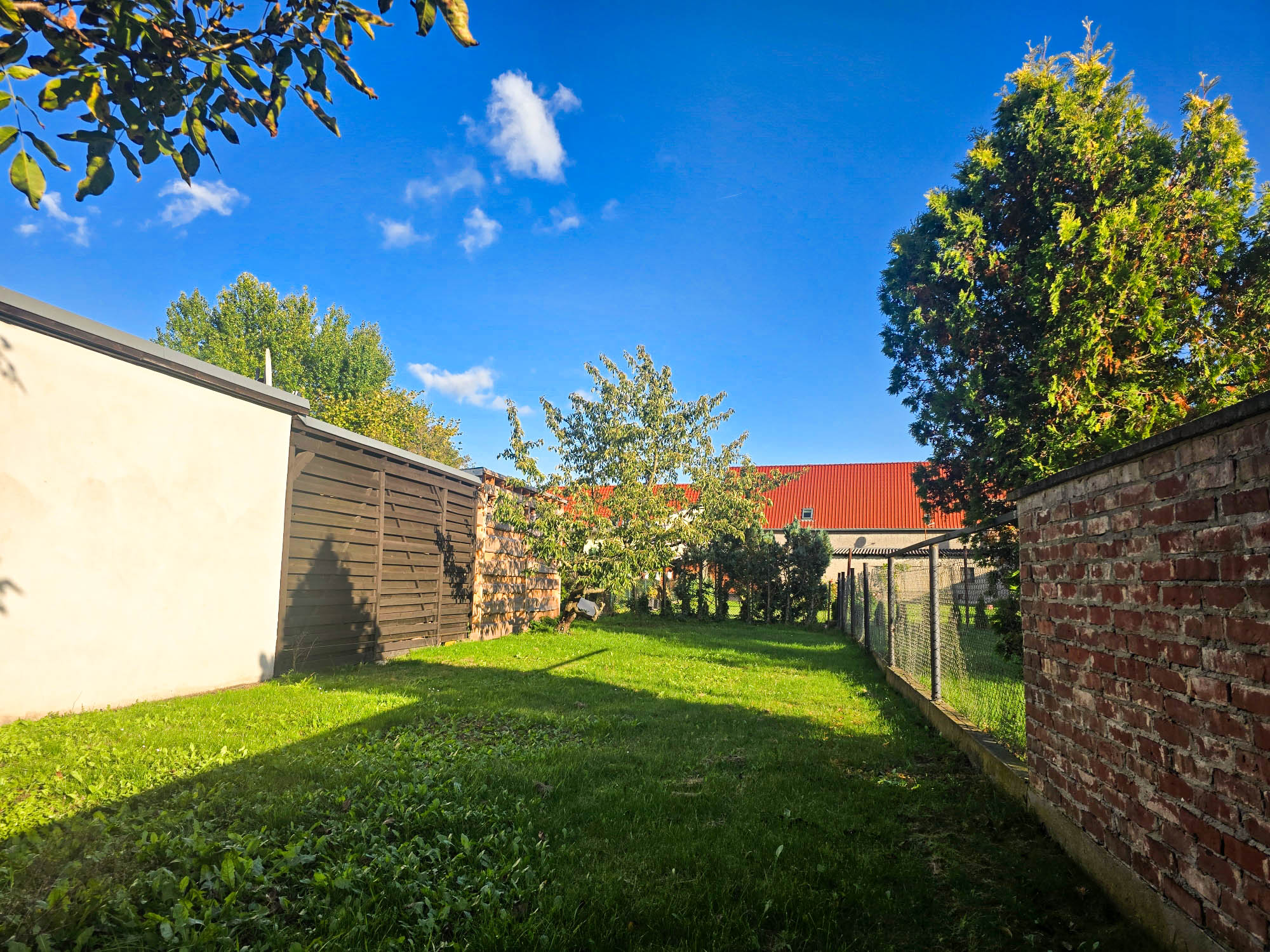 20241011_162318_compress95