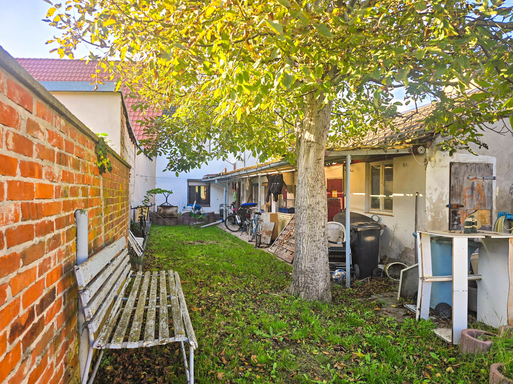 20241011_162330_compress50