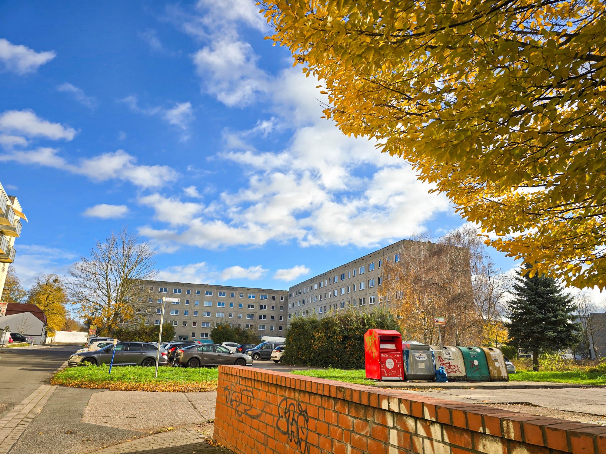 20241118_113854_compress56