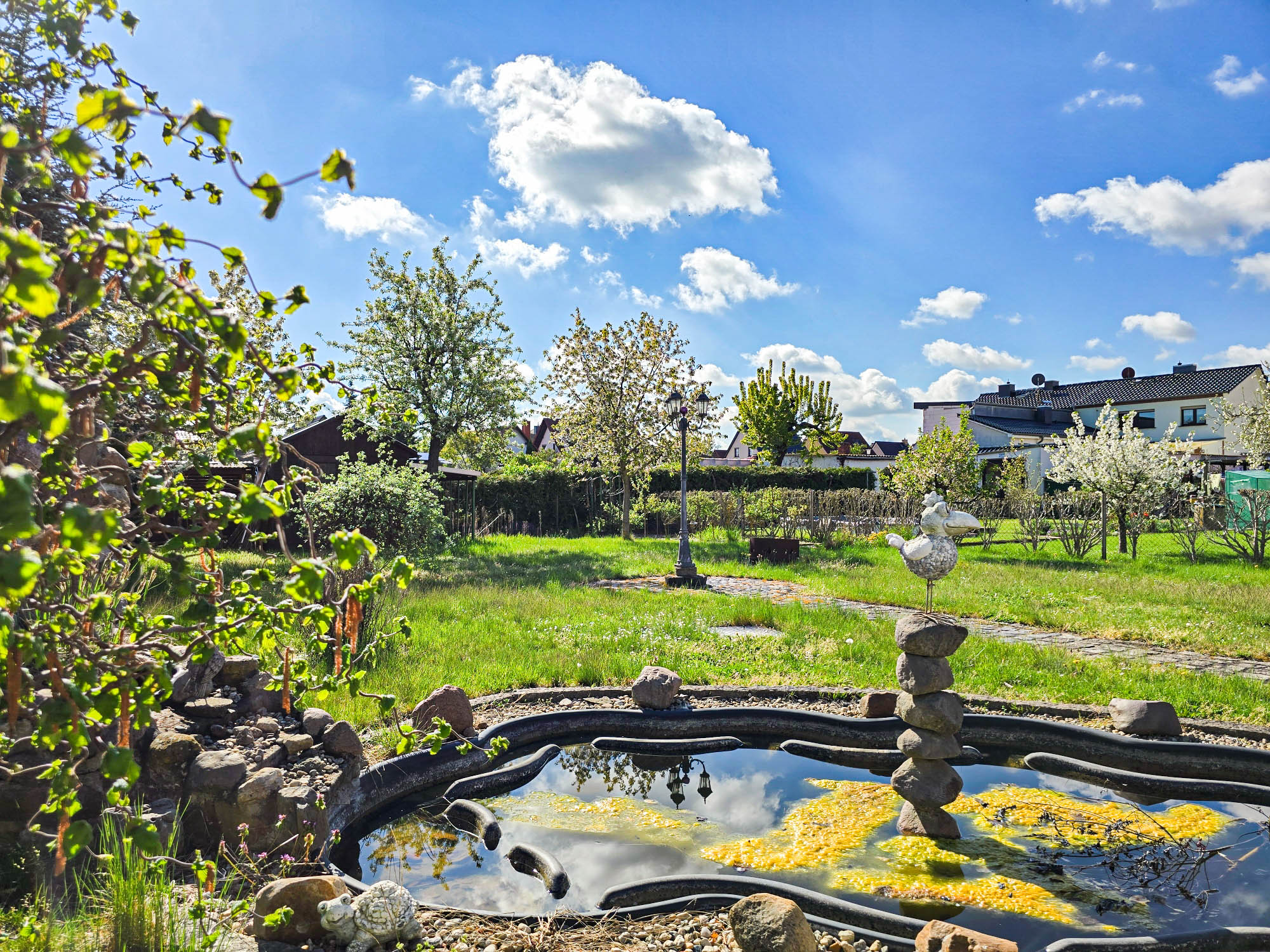 20250422_100648_compress11