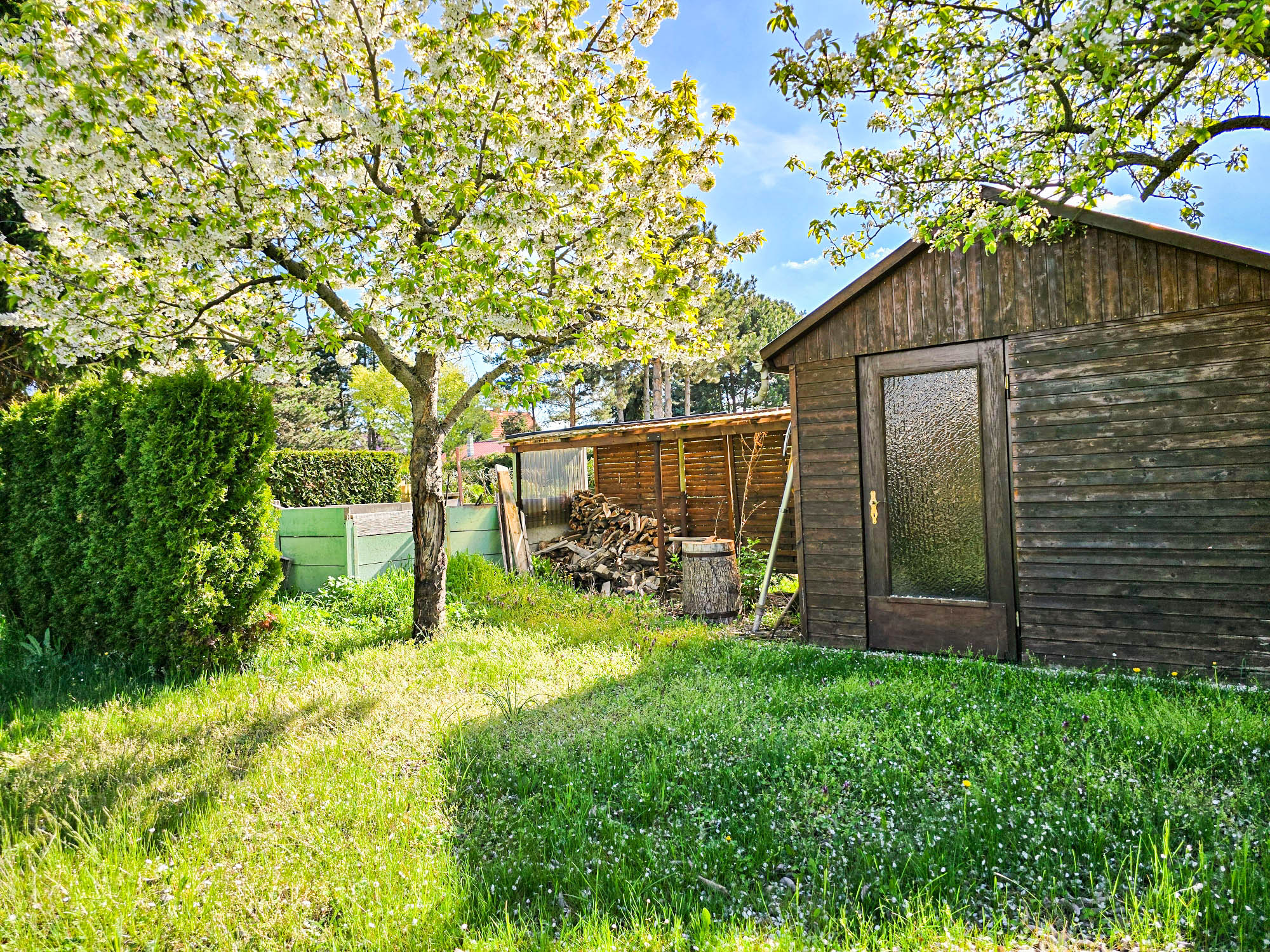 20250422_100743(0)_compress10