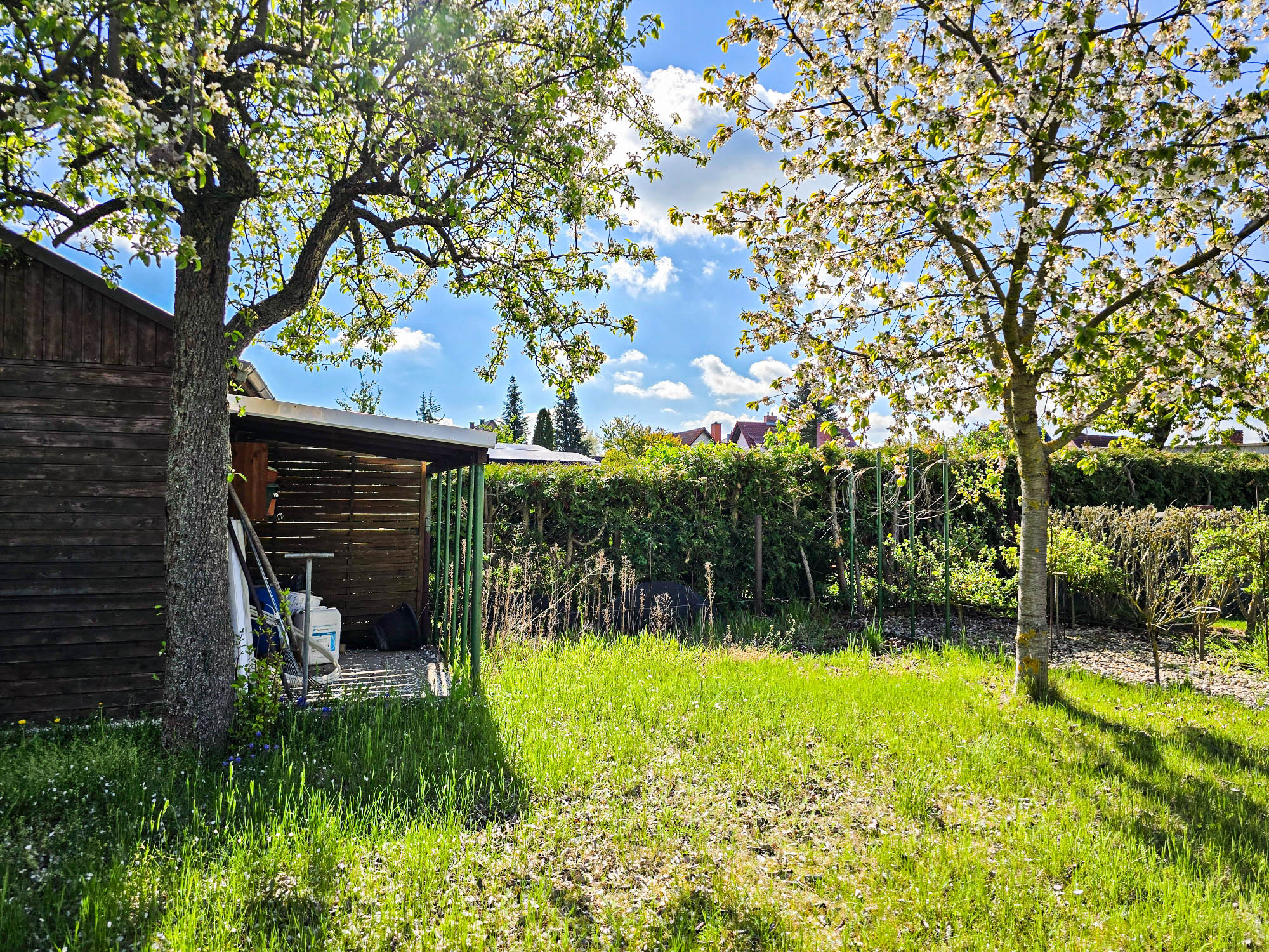 20250422_100746_compress8