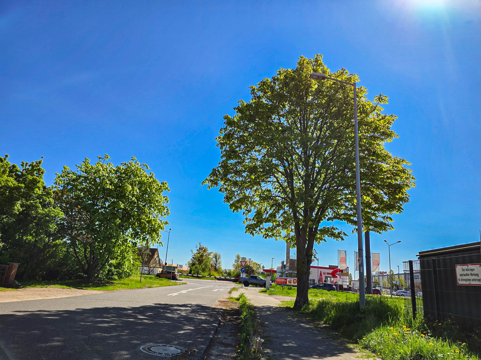 20250426_113552_compress18