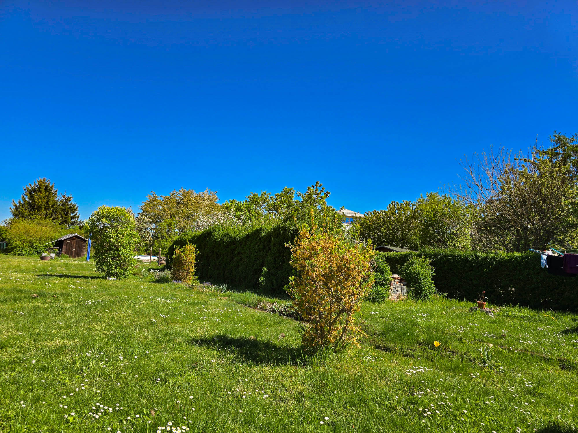 20250426_113845_compress6