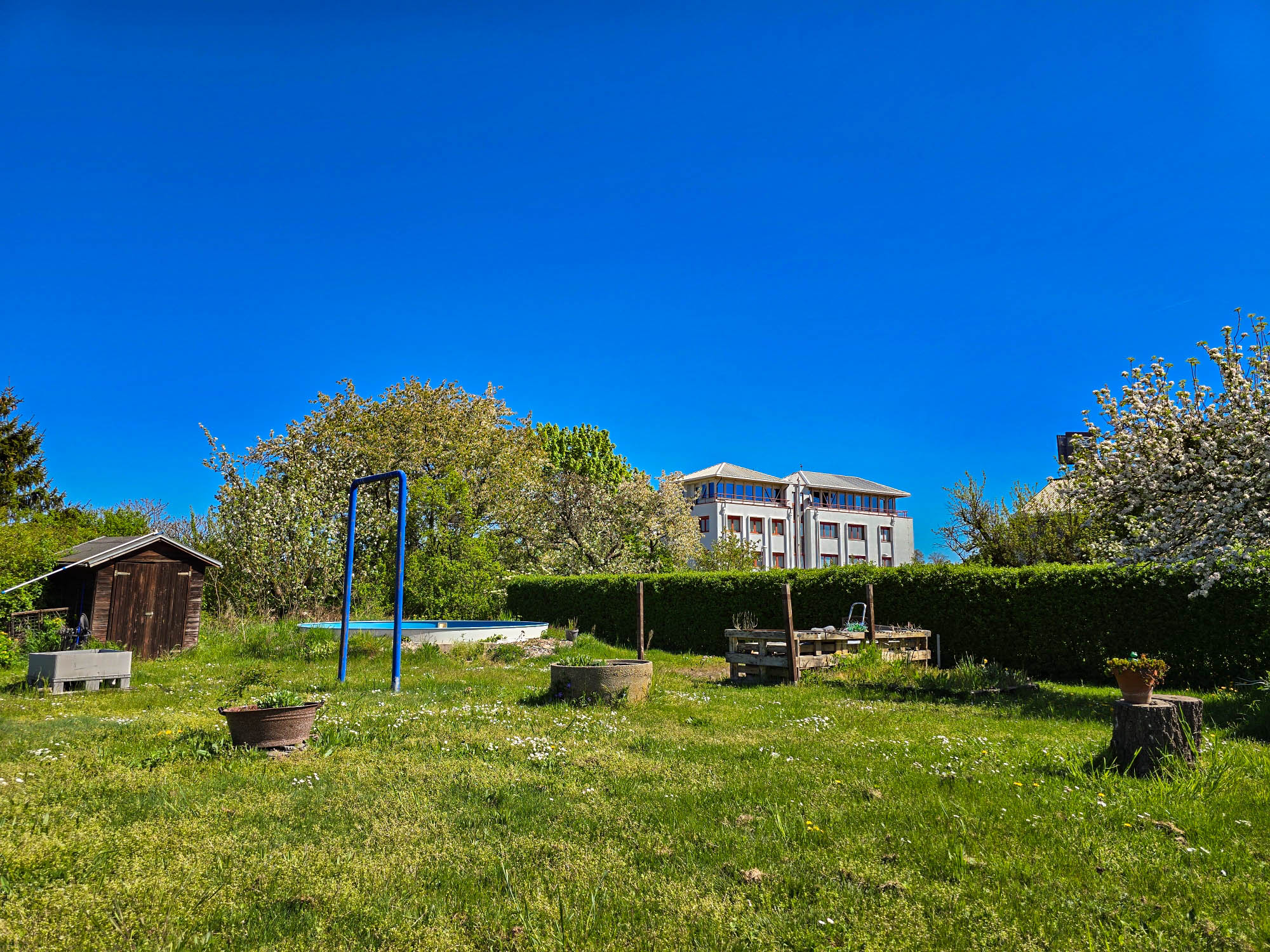 20250426_113925_compress42