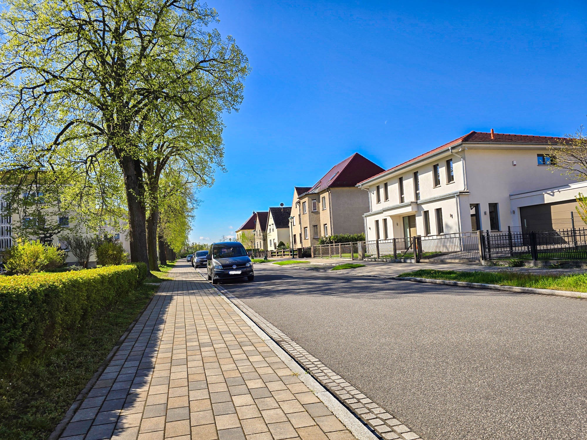 20250422_094235_compress75