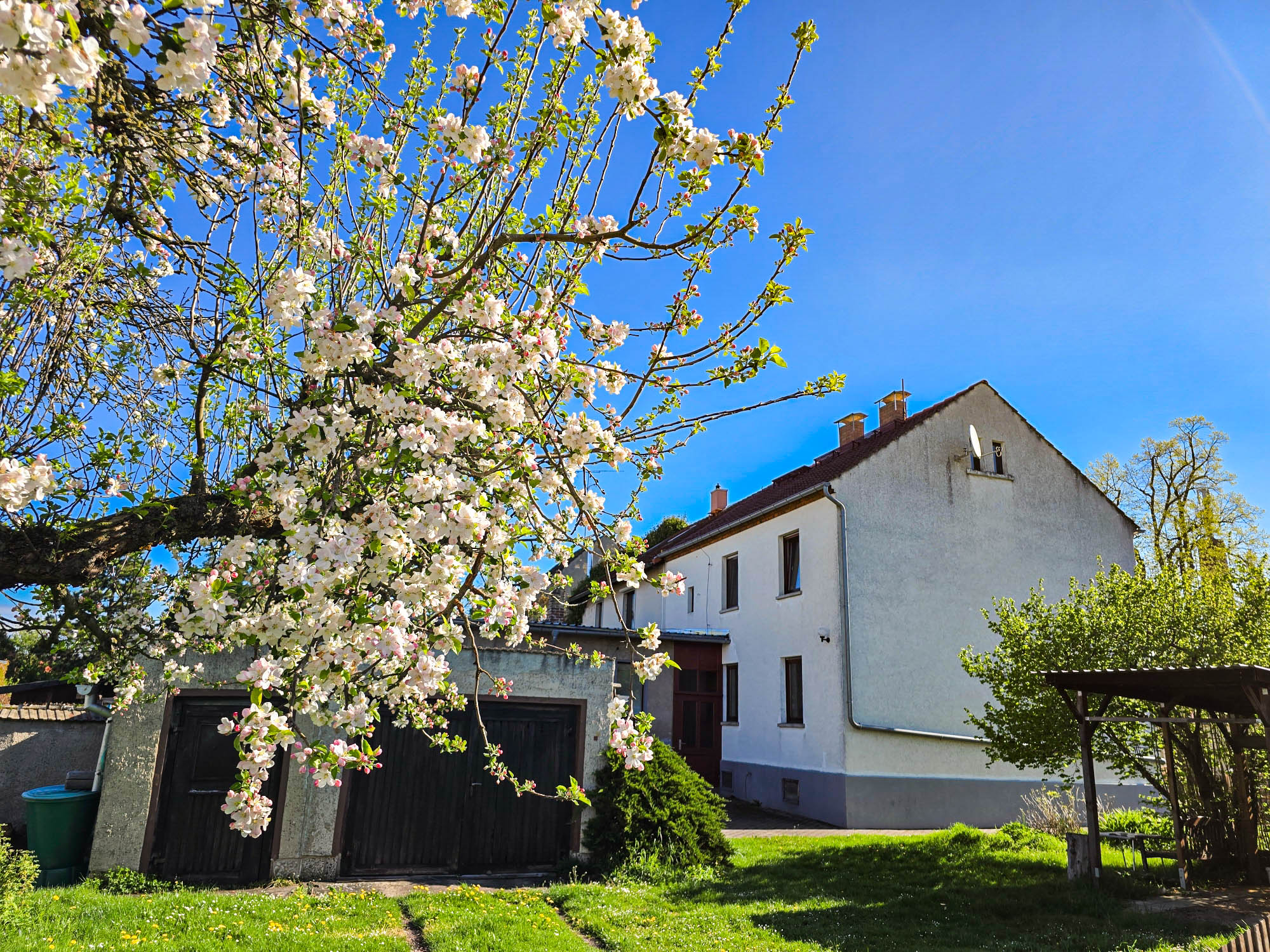 20250422_094614(0)_compress27