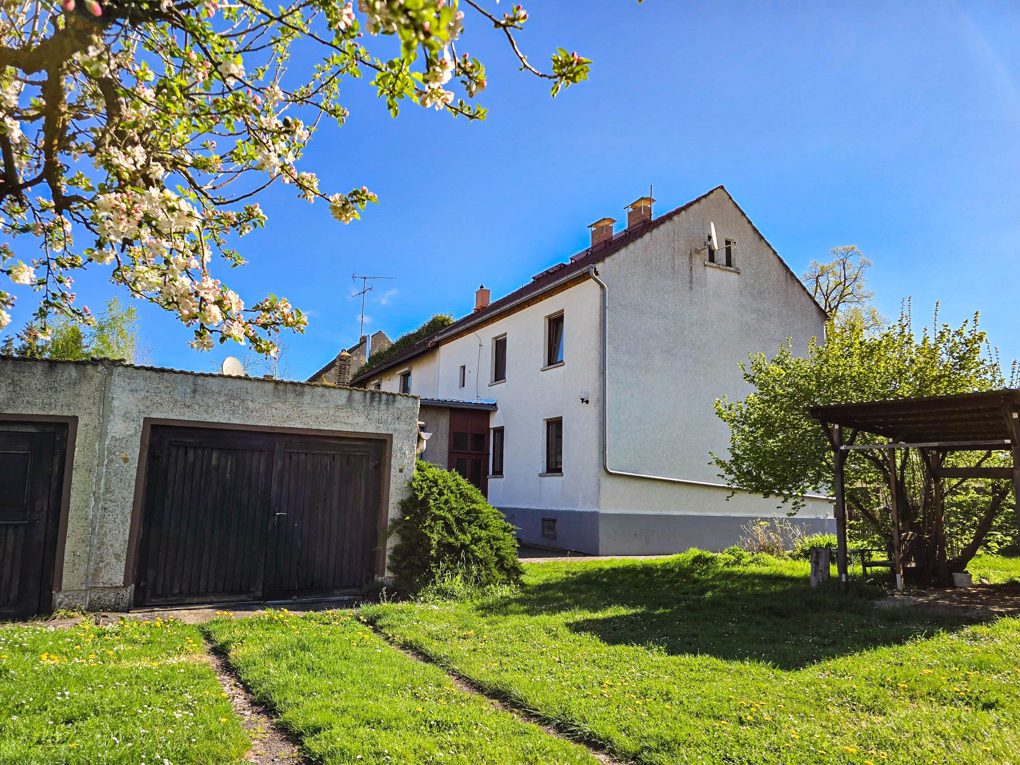 20250422_094817_compress74