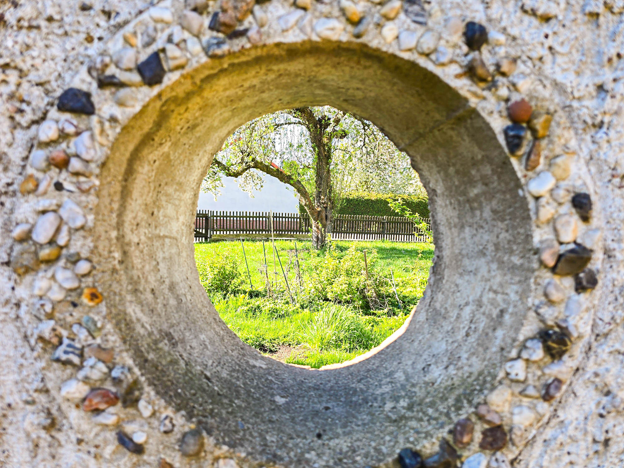 20250422_095054_compress65