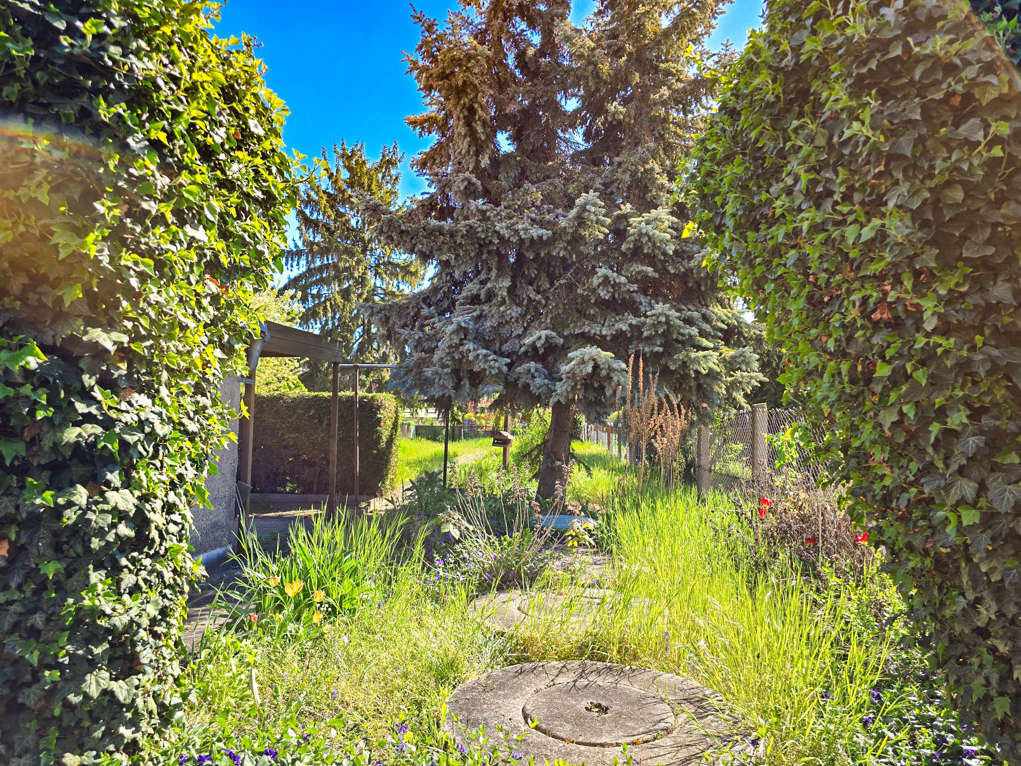 20250428_154232_compress2