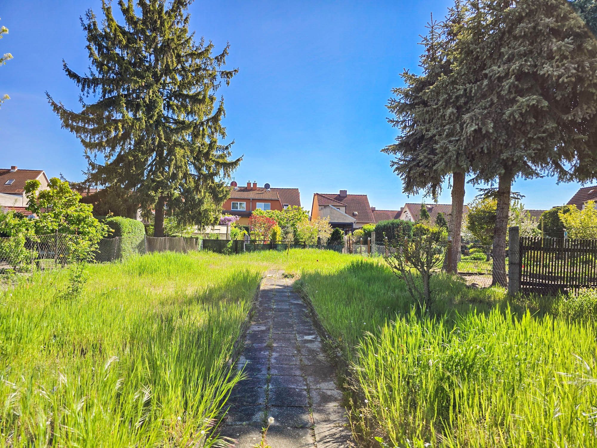 20250428_154313_compress85