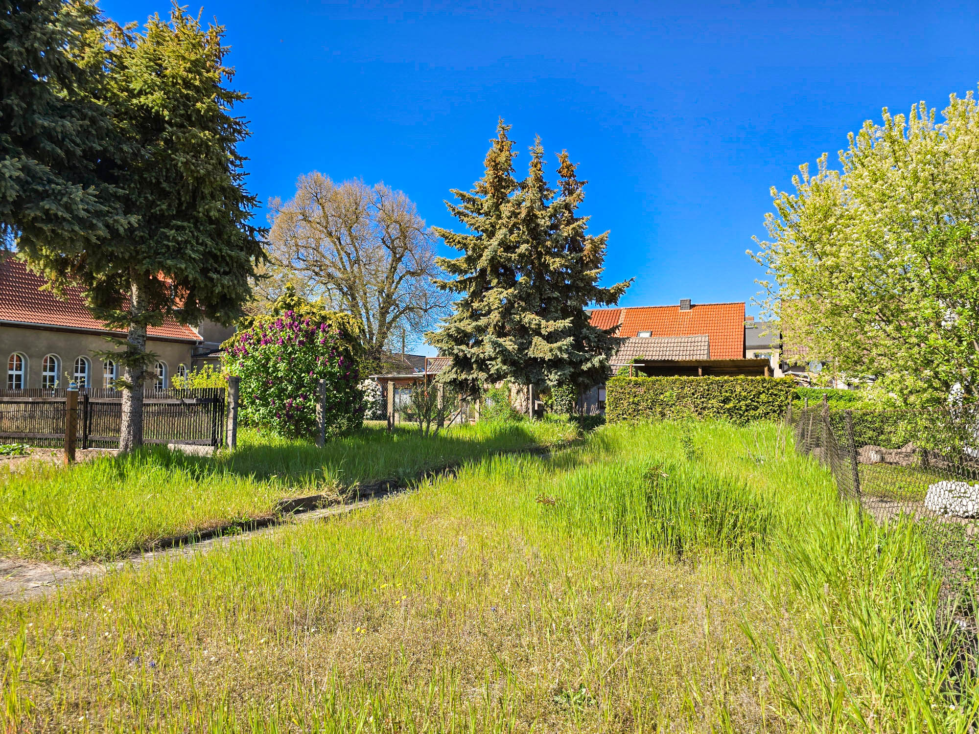 20250428_154336_compress66