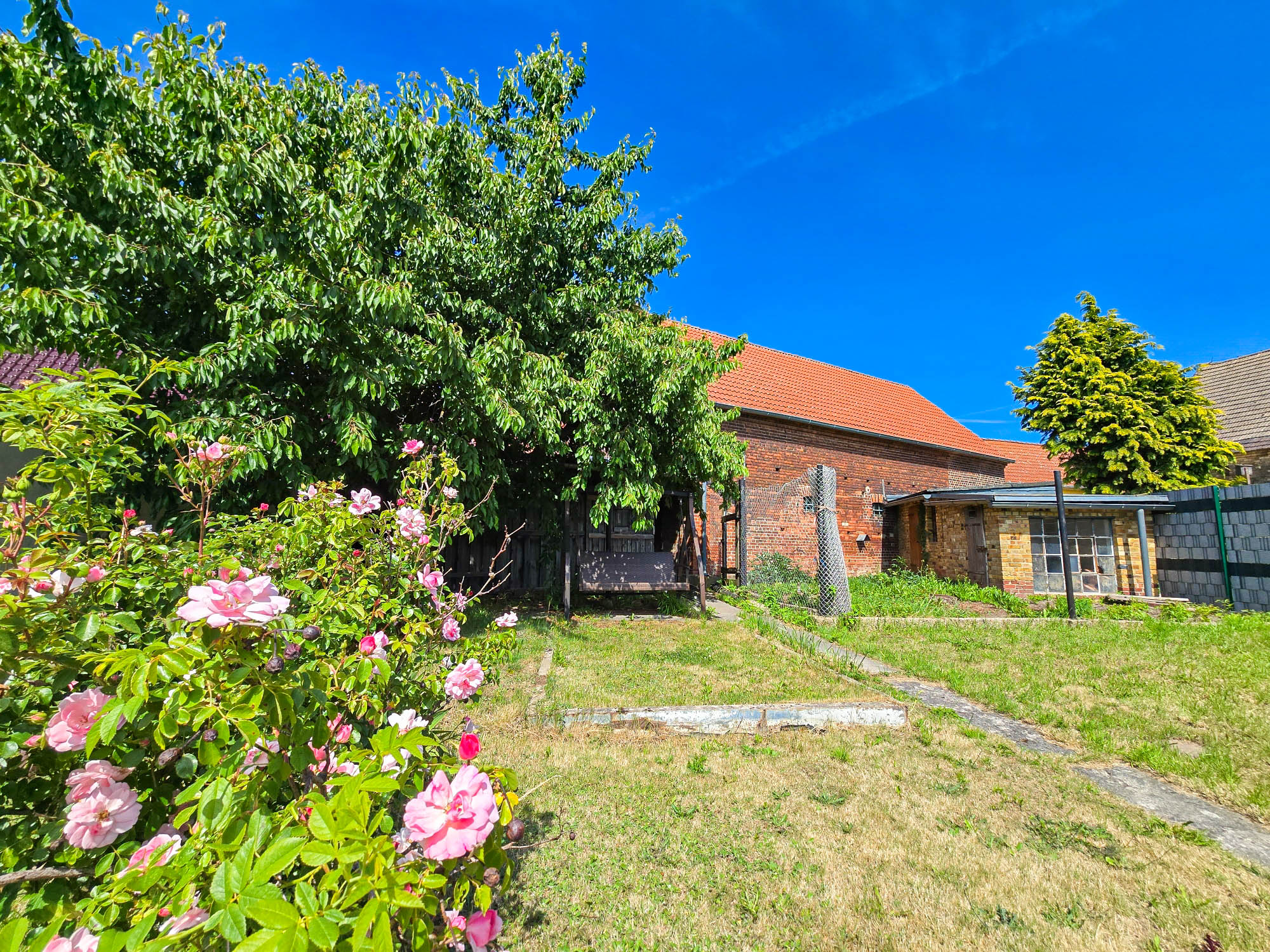 20250613_153115_compress81