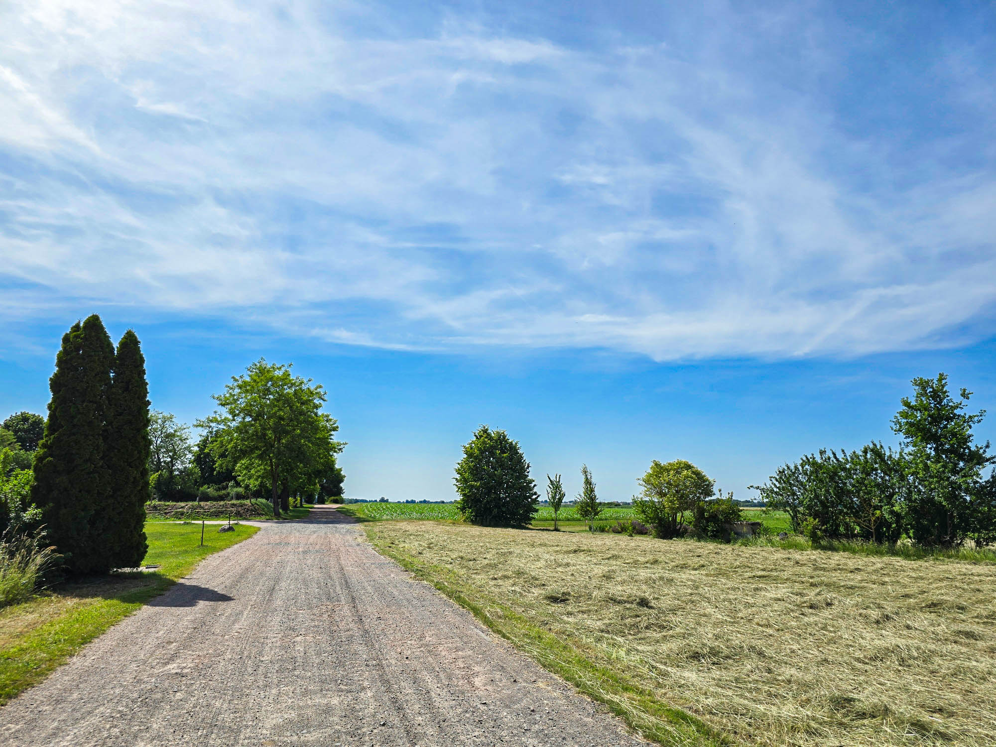 20250613_153551_compress65