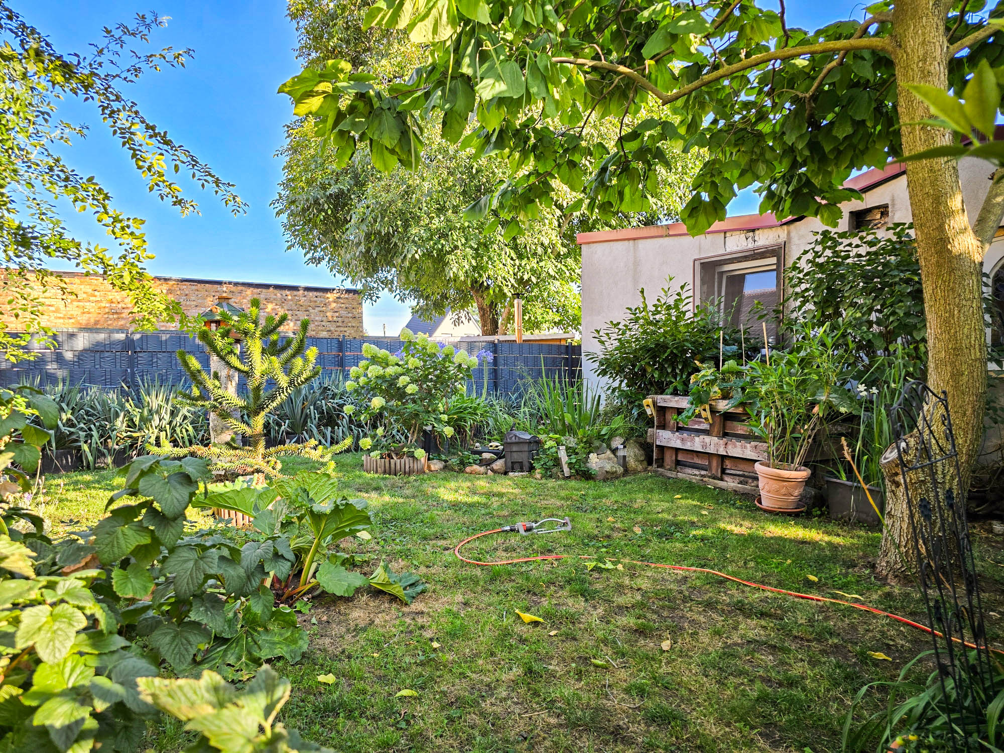 20250821_174143(0)_compress30