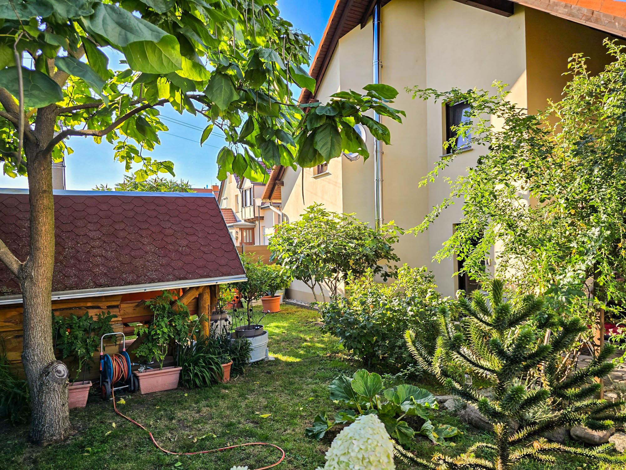 20250821_174425_compress98