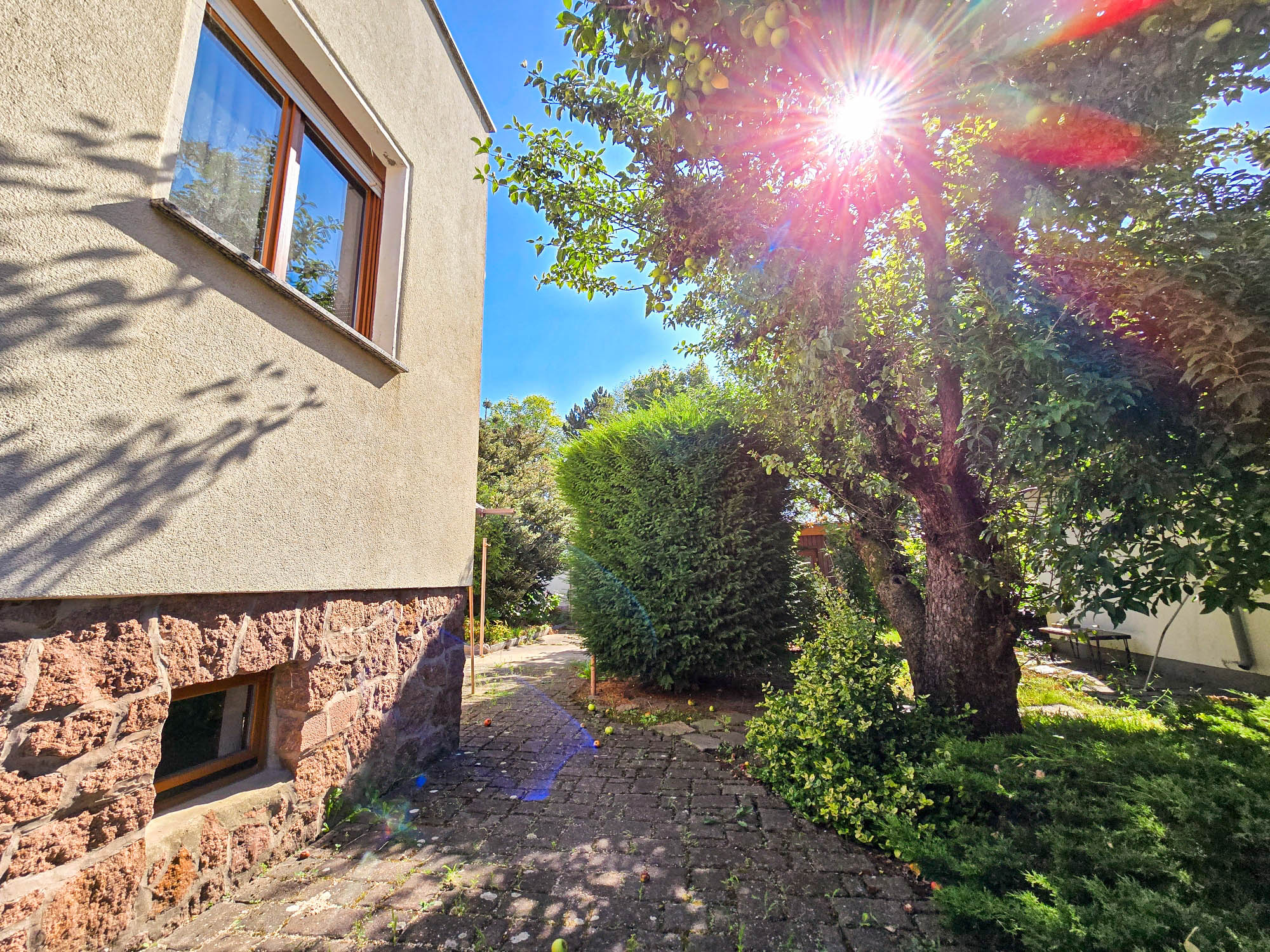 20250811_103803_compress98