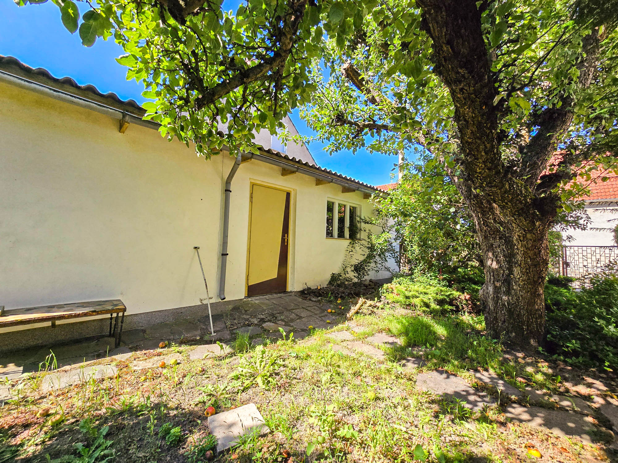 20250811_103838_compress49