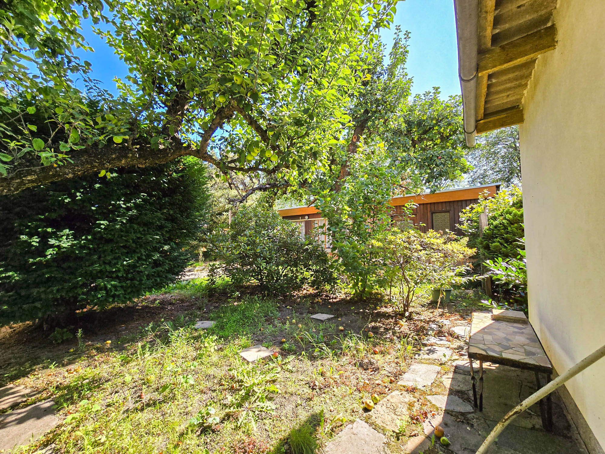 20250811_103848_compress35