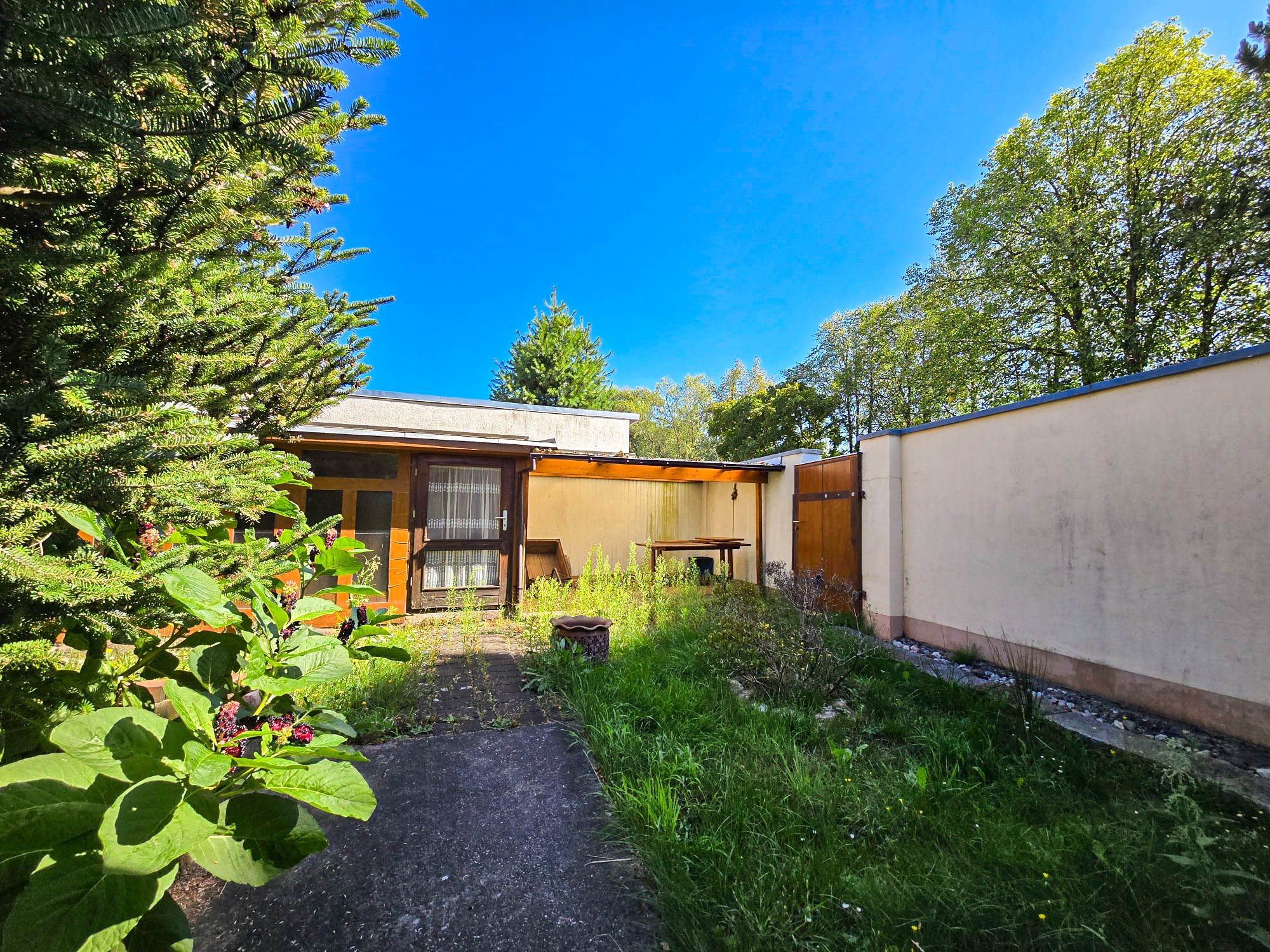 20250811_104024_compress49