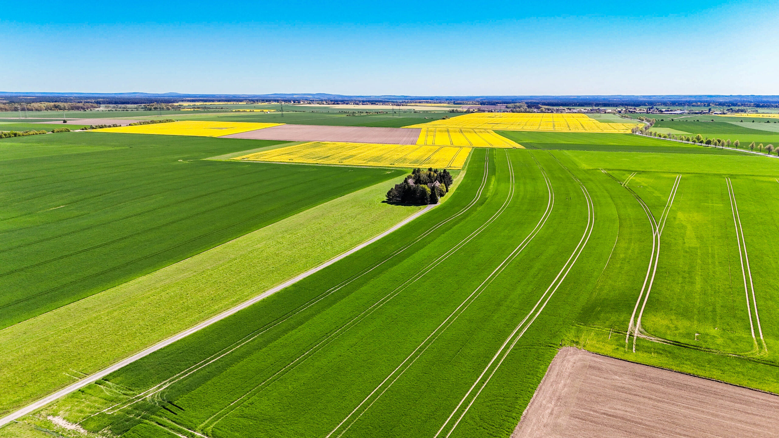 DJI_20260429145044_0041_D